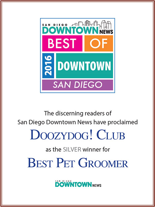 2016 Best of Downtown San Diego Best Grooming