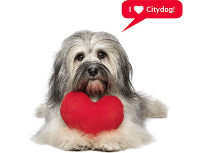 I love Citydog!