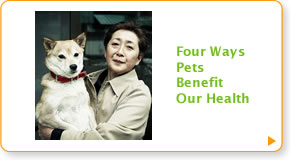Four ways pets benefit our health