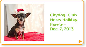 Citydog! Club Hosts Holiday Paw-ty