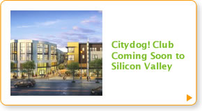 Citydog! Club to Open in Silicon Valley