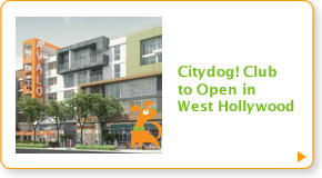 Citydog! Club to Open in West Hollywood